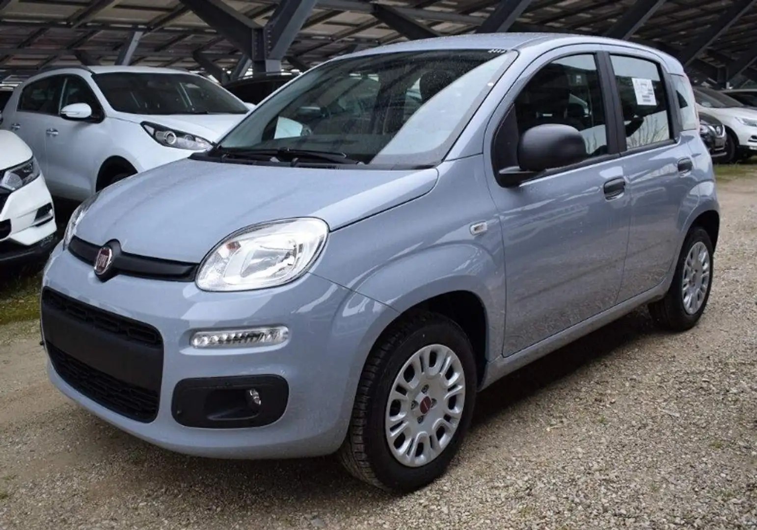 Fiat Panda Panda 1.2 Lounge Grigio - 2