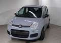 Fiat Panda Panda 1.2 Lounge Grigio - thumbnail 4