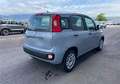 Fiat Panda Panda 1.2 Lounge Grigio - thumbnail 3