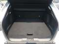 Renault Arkana Hybrid E-TECH 145 CV Intens Bianco - thumbnail 12