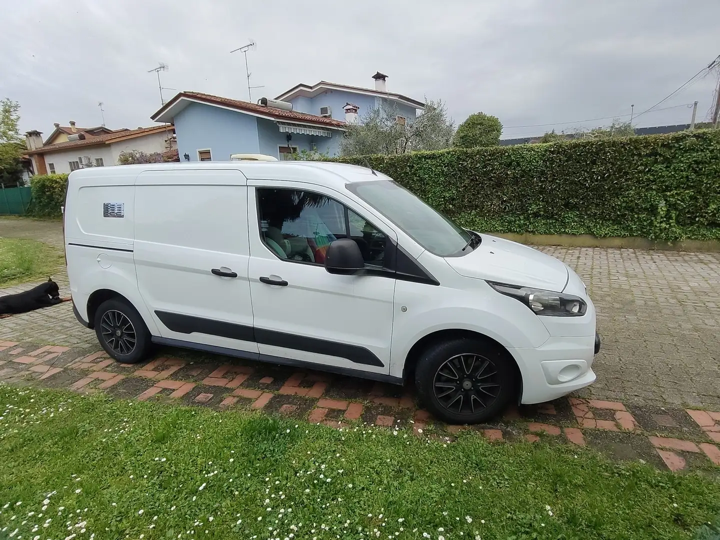 Ford Transit Connect - 2