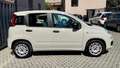 Fiat Panda Panda III 1.2 Benzina GPL Lounge easypower  69cv Beige - thumbnail 5