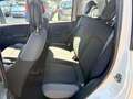 Fiat Panda Panda III 1.2 Benzina GPL Lounge easypower  69cv Beige - thumbnail 11