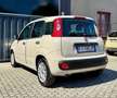 Fiat Panda Panda III 1.2 Benzina GPL Lounge easypower  69cv Beige - thumbnail 7