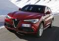 Alfa Romeo Stelvio 2.2 Veloce Q4 210 Aut. - thumbnail 14
