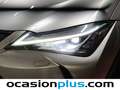 Lexus UX 250h Business Navigation 2WD Gris - thumbnail 14