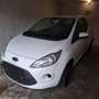 Ford Ka/Ka+ Ka 1.2 Start-Stopp-System Trend Edition Weiß - thumbnail 1