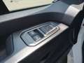 Renault LKW  Kastenwagen L1H1 3,0t Blue dCi 130 Weiß - thumbnail 18