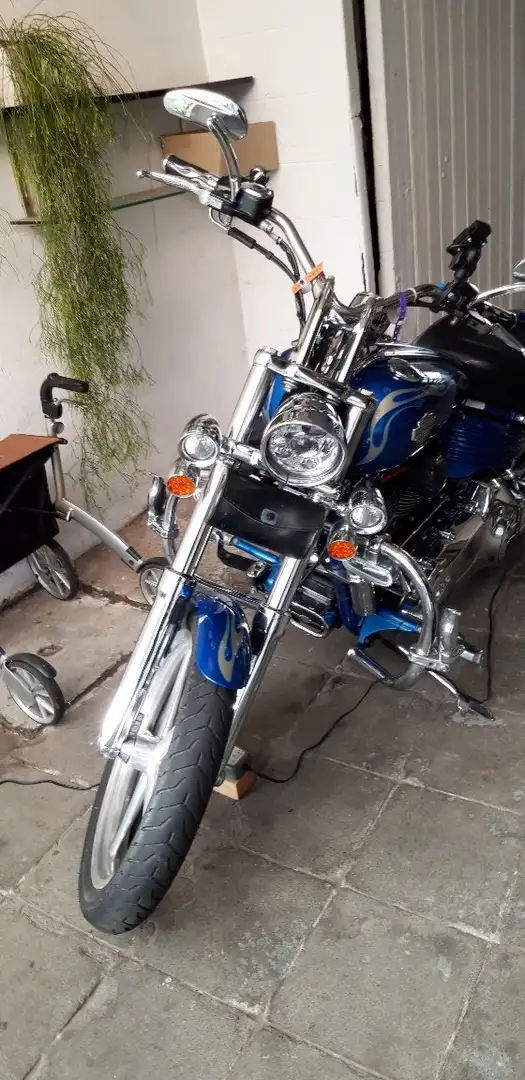 Harley-Davidson Rocker C FXCWC softail Albastru - 2