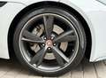 Jaguar F-Type Convertible 3.0 V6 Aut. 340 Wit - thumbnail 23