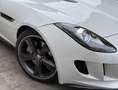 Jaguar F-Type Convertible 3.0 V6 Aut. 340 Wit - thumbnail 21