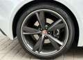 Jaguar F-Type Convertible 3.0 V6 Aut. 340 Wit - thumbnail 22