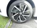 Skoda Octavia Selection TDI DSG Blanc - thumbnail 19