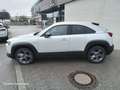 Mazda MX-30 35,5 kWh e-SKYACTIV 145 PS FIRST EDITION PAKET; Al Weiß - thumbnail 3