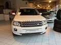 Land Rover Freelander Freelander Softback 2,0 Td4 SE Softback SE Weiß - thumbnail 3
