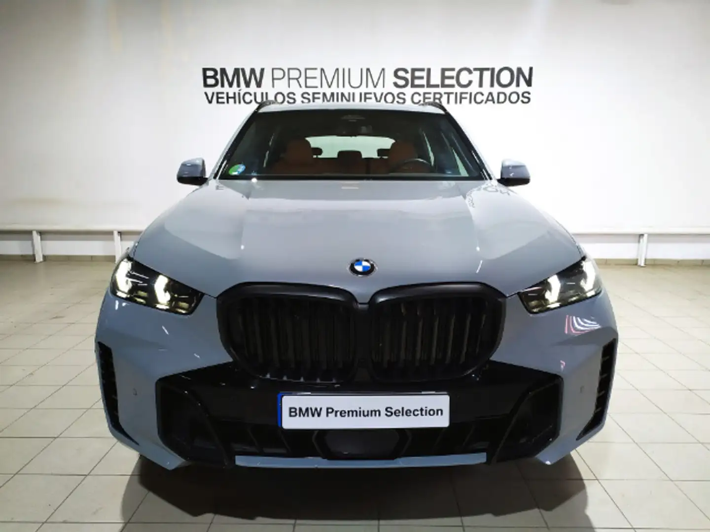 BMW X5 xDrive 40dA xLine Gris - 2