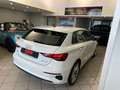 Audi A3 SPB 35 TDI S tronic Business. Bianco - thumbnail 12