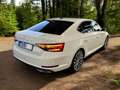 Skoda Superb Superb 1.4 TSI iV DSG L&K 360°Kamera ACC Matrix Weiß - thumbnail 1
