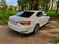 Skoda Superb Superb 1.4 TSI iV DSG L&K 360°Kamera ACC Matrix Weiß - thumbnail 5