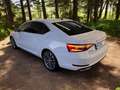 Skoda Superb Superb 1.4 TSI iV DSG L&K 360°Kamera ACC Matrix Weiß - thumbnail 3