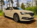 Skoda Superb Superb 1.4 TSI iV DSG L&K 360°Kamera ACC Matrix Weiß - thumbnail 8
