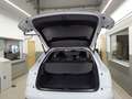Audi Q3 Design 2.0 TFSI qu S tronic *Xenon*AHK*Navi+* Weiß - thumbnail 9