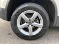 Volkswagen Tiguan 2.0 TDI Plus 140 CV Sport & Style BlueMotion Tech. Bianco - thumbnail 14