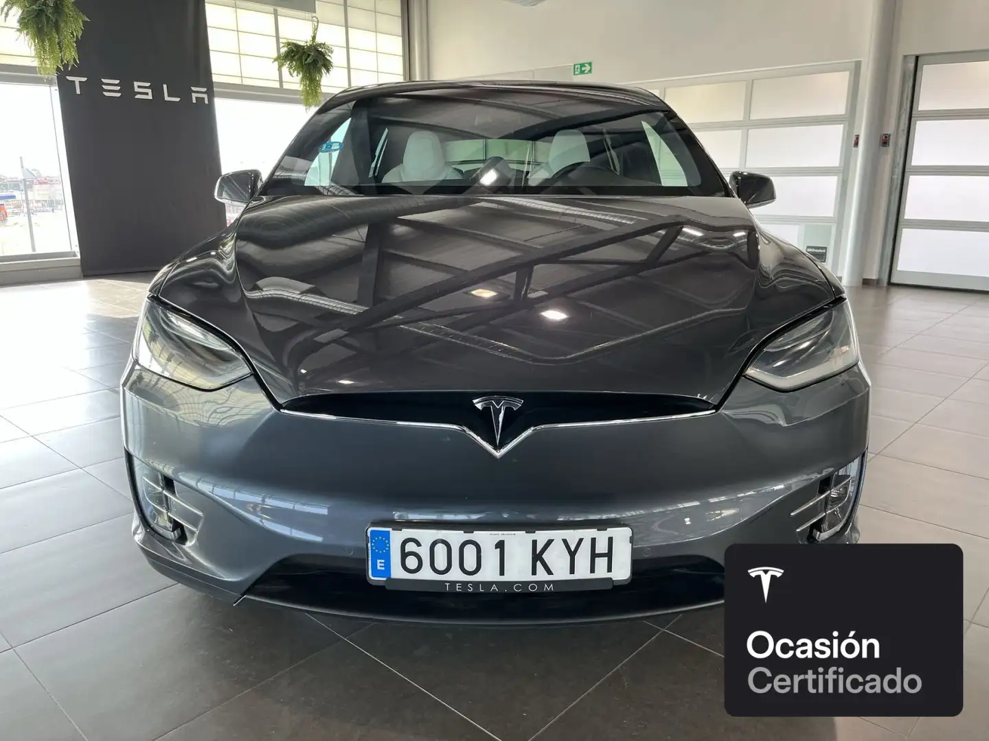 Tesla Model X Long Range AWD Silber - 2