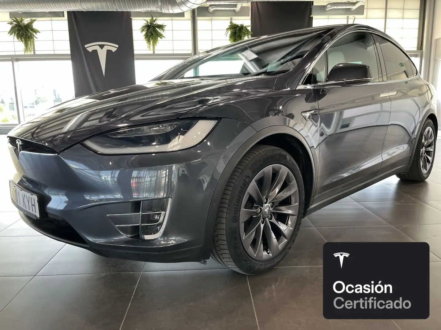 Tesla Model X Long Range AWD Silber - 1