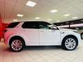 Land Rover Discovery Sport *150CV*MHEV*R-DYNAMIC*TETTO*UNIPRO* Bianco - thumbnail 3