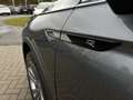 Volkswagen Tiguan Head-Up DAB RFK Parkassistent AHK Grau - thumbnail 44