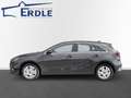 Kia Ceed / cee'd Ultimate Edition 1.5T 140PS  Mild-Hybrid EU6e Grau - thumbnail 2