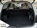 Kia Sorento 2.2 CRDi 4WD Platinum 7-Sitzer|ACC+PANO Weiß - thumbnail 7