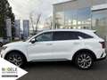 Kia Sorento 2.2 CRDi 4WD Platinum 7-Sitzer|ACC+PANO Weiß - thumbnail 4