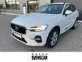 Volvo XC60 Momentum Pro AWD B4 Diesel HUD Luftfederung Navi d White - thumbnail 1