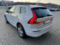 Volvo XC60 Momentum Pro AWD B4 Diesel HUD Luftfederung Navi d White - thumbnail 5