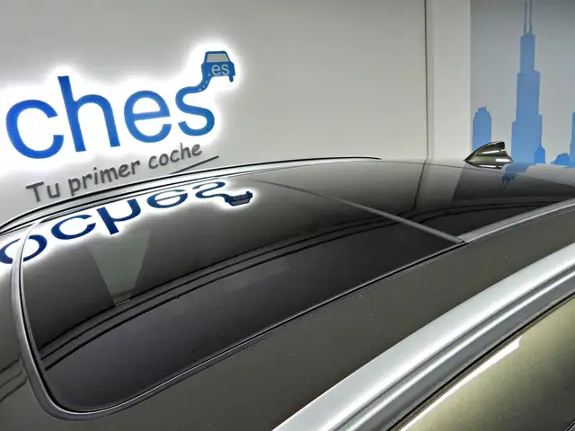 BMW X6 view 12