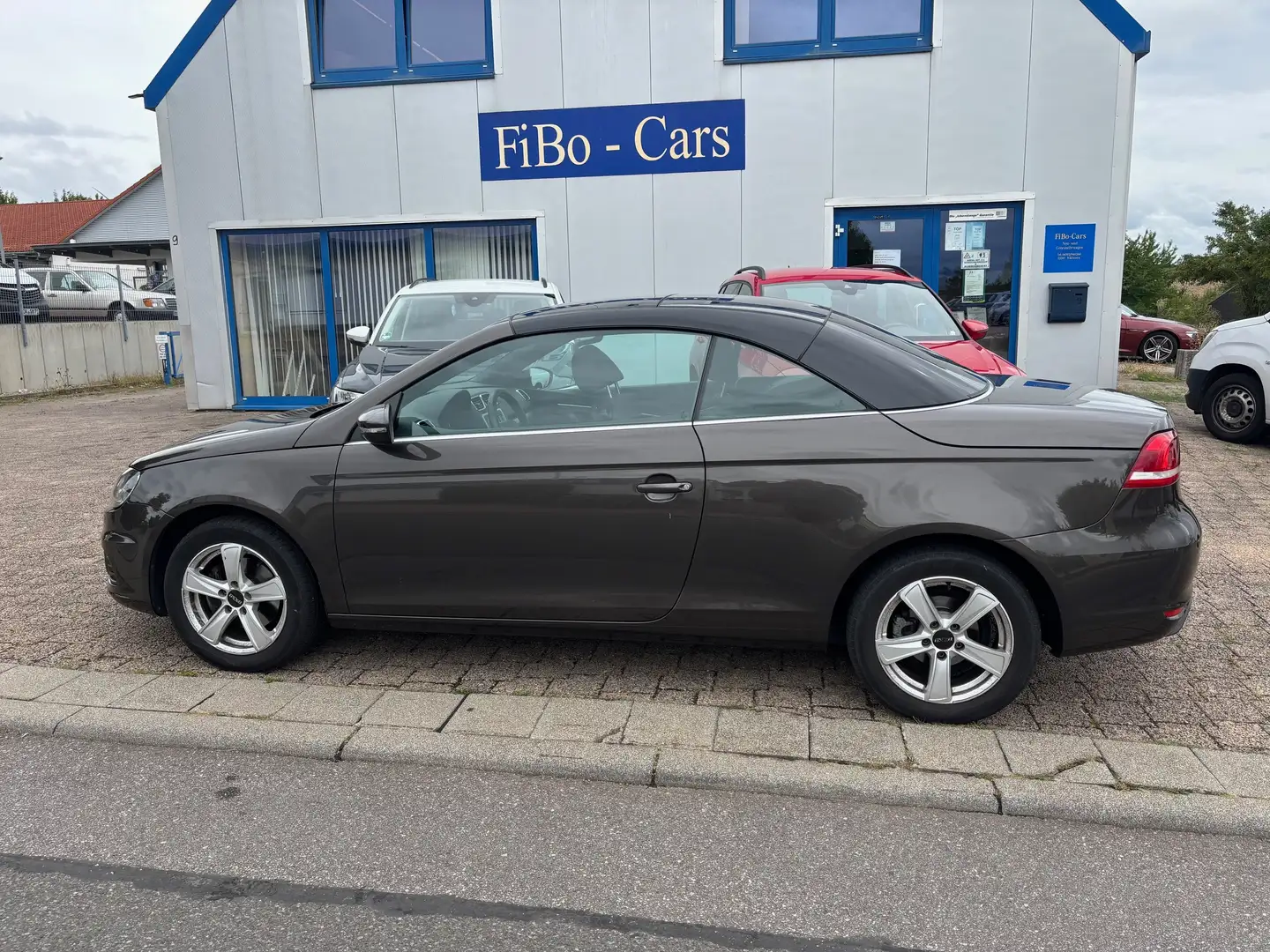 Volkswagen Eos Basis Bruin - 1
