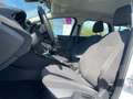 Ford Focus Turnier Titanium Weiß - thumbnail 16