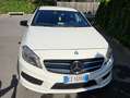 Mercedes-Benz A 220 Classe A - W176 cdi AMG edition Bianco - thumbnail 7