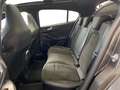 Ford Focus Lim. ST X Head-Up DAB LED RFK el. Sitze Grijs - thumbnail 13