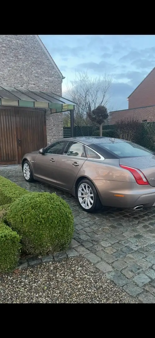 Jaguar XJ 3.0 V6 Diesel S Luxury - 1