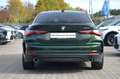 BMW 430 i Gran Coupé LiveCptProf.LED.Kamera.Glasdach Grün - thumbnail 6