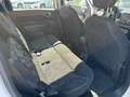 Fiat 500L 1.3 Multijet 95 CV Cross OK NEOPATENTATO Wit - thumbnail 36