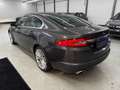 Jaguar XF 3.0 V6 Diesel S Luxury*Gepflegt*Viele Neuteile* Grau - thumbnail 6