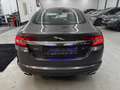 Jaguar XF 3.0 V6 Diesel S Luxury*Gepflegt*Viele Neuteile* Grau - thumbnail 5