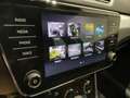 Skoda Superb Ambition TDI DSG Grau - thumbnail 12