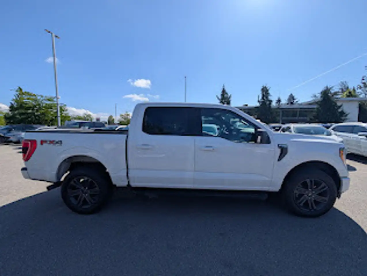Ford F 150 снимка Ford F 150
