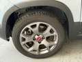 Fiat Panda Cross 1.3 MJT 95 CV S&S 4x4 Grigio - thumbnail 19