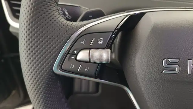 Skoda Enyaq view 15